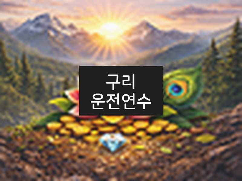 구리운전연수 후기