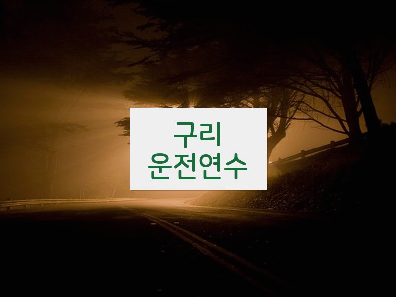 구리운전연수 후기