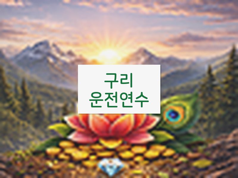 구리운전연수 후기