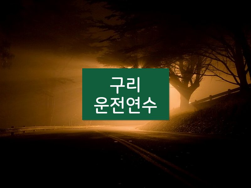 구리운전연수 후기