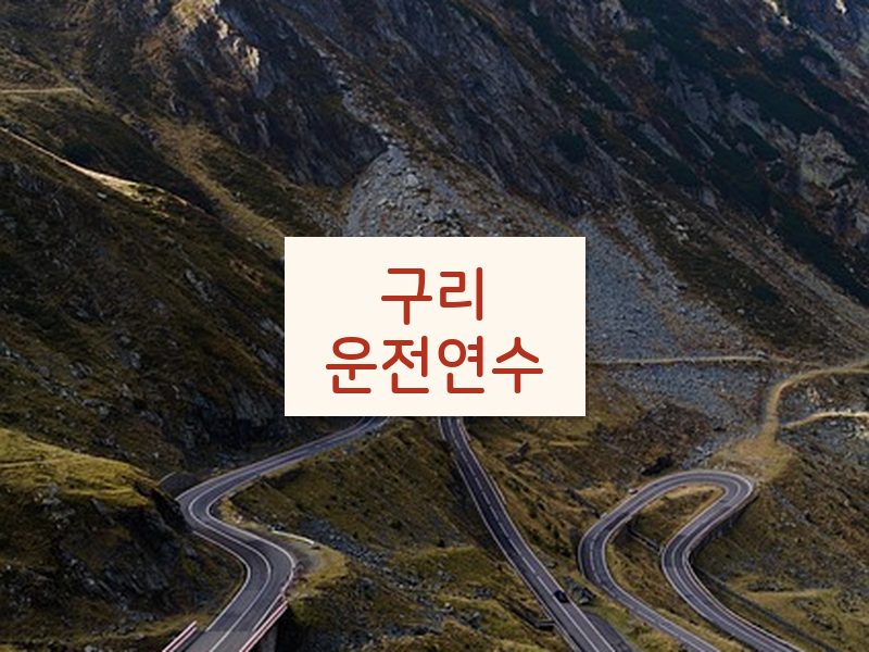 구리운전연수 후기