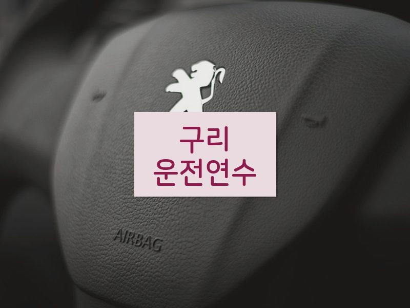 구리운전연수 후기