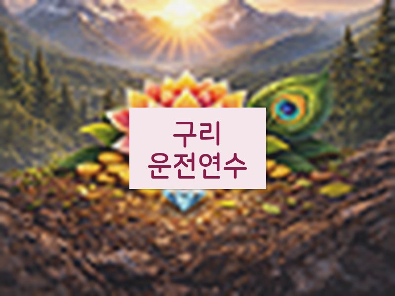 구리운전연수 후기