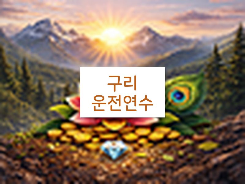 구리운전연수 후기