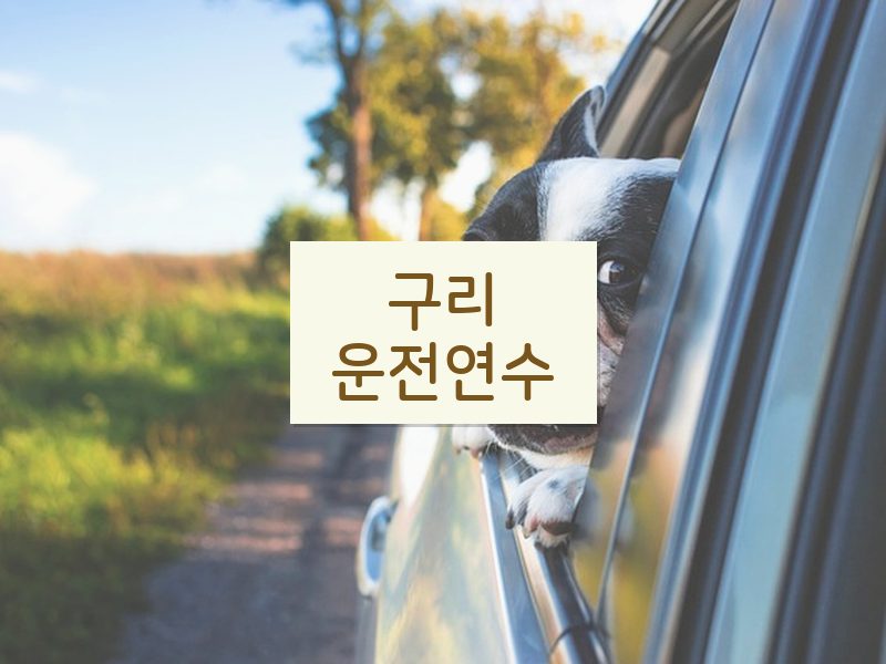 구리운전연수 후기
