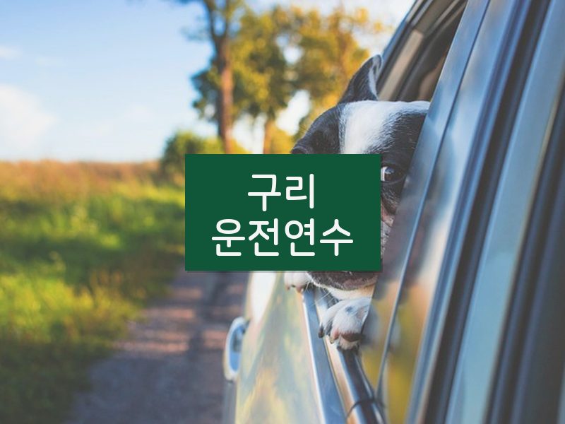 구리운전연수 후기