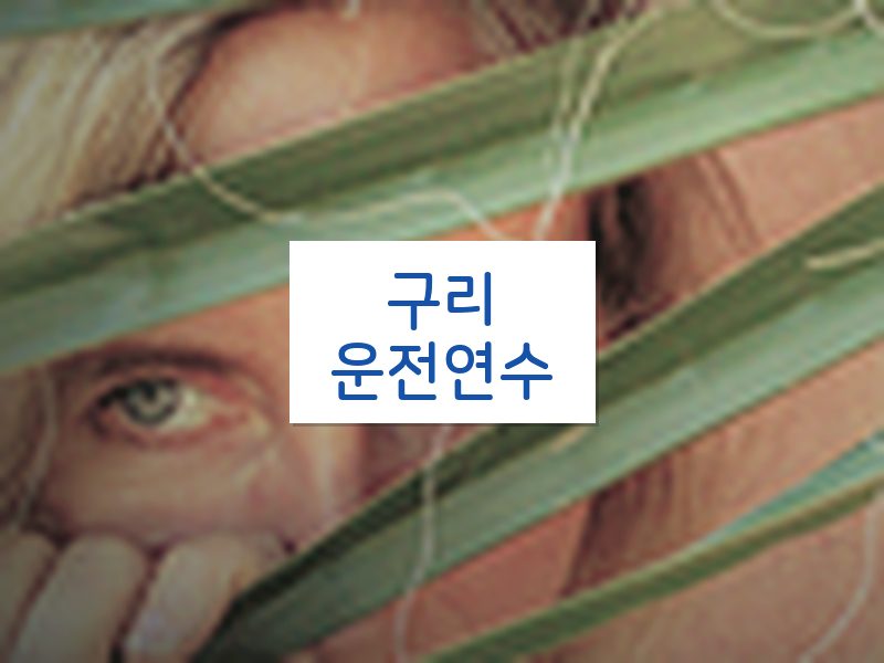 구리운전연수 후기