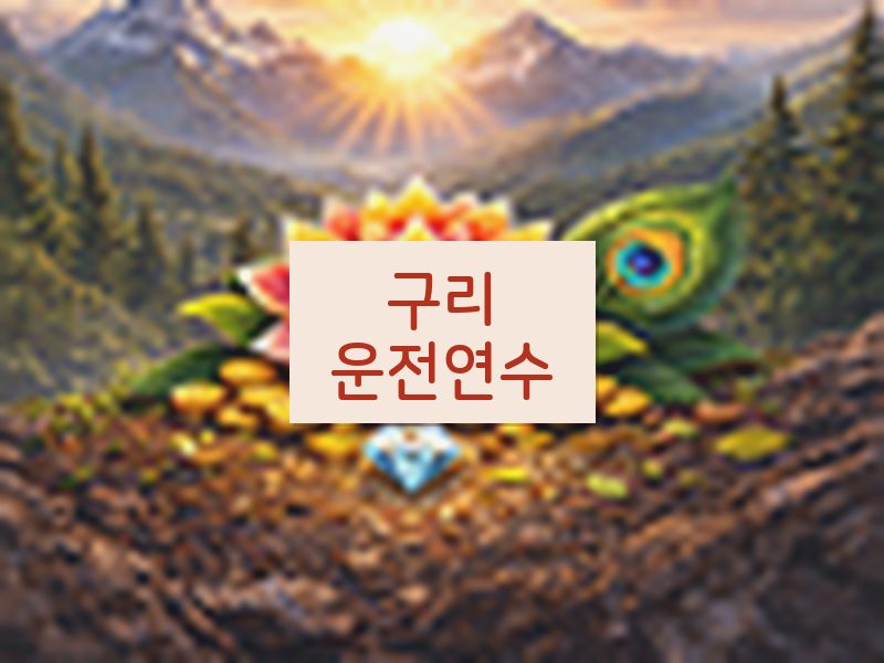 구리운전연수 후기