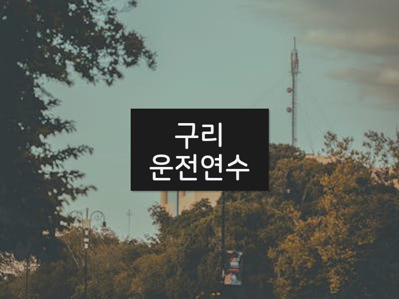 구리운전연수 후기