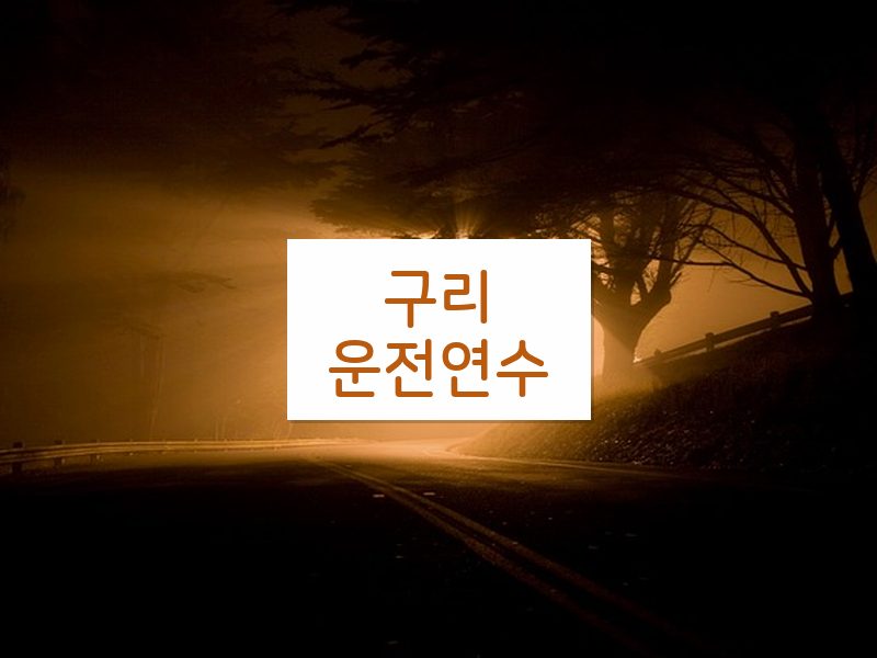 구리운전연수 후기