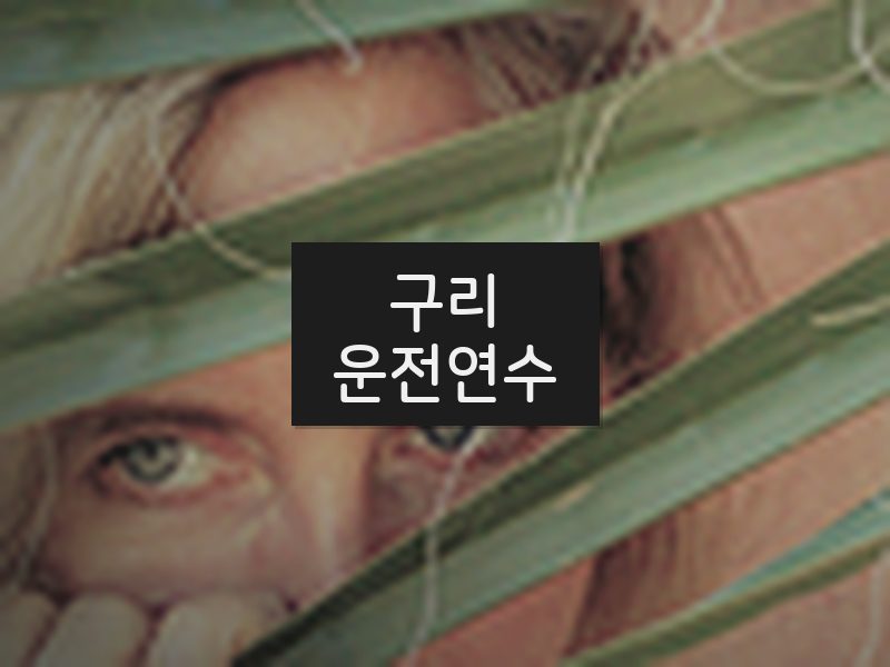 구리운전연수 후기