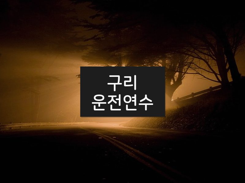구리운전연수 후기