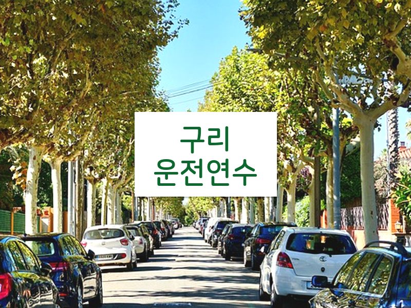 구리운전연수 후기