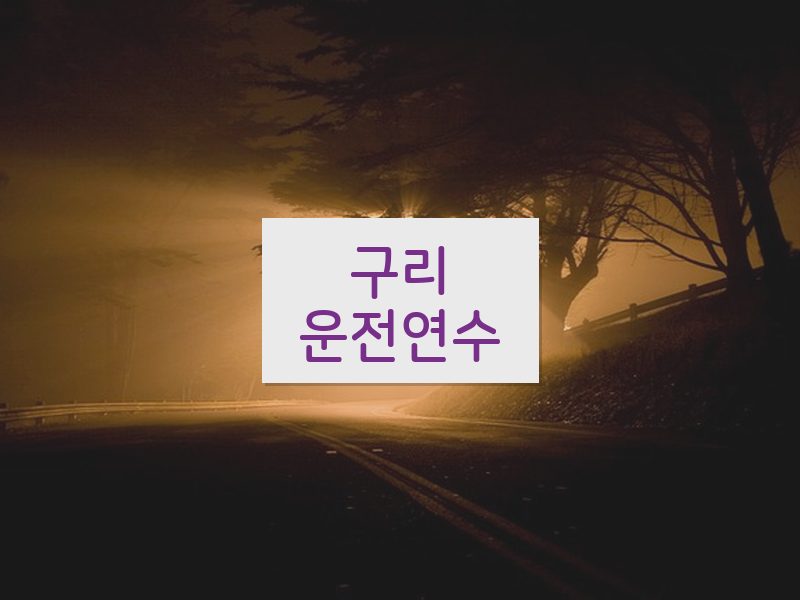 구리운전연수 후기