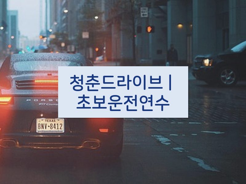 청춘드라이브 | 초보운전연수 후기