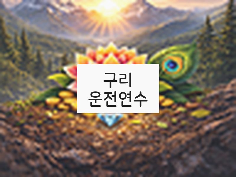 구리운전연수 후기