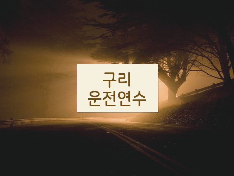 구리운전연수 후기