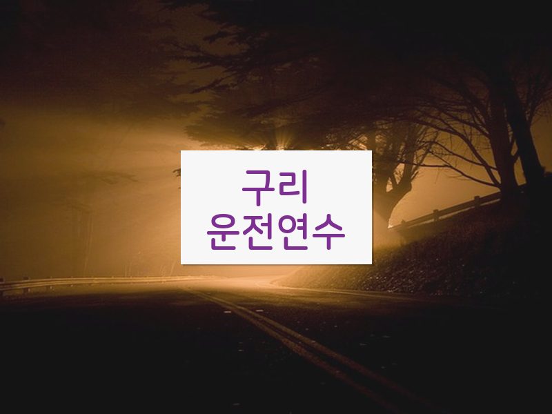 구리운전연수 후기