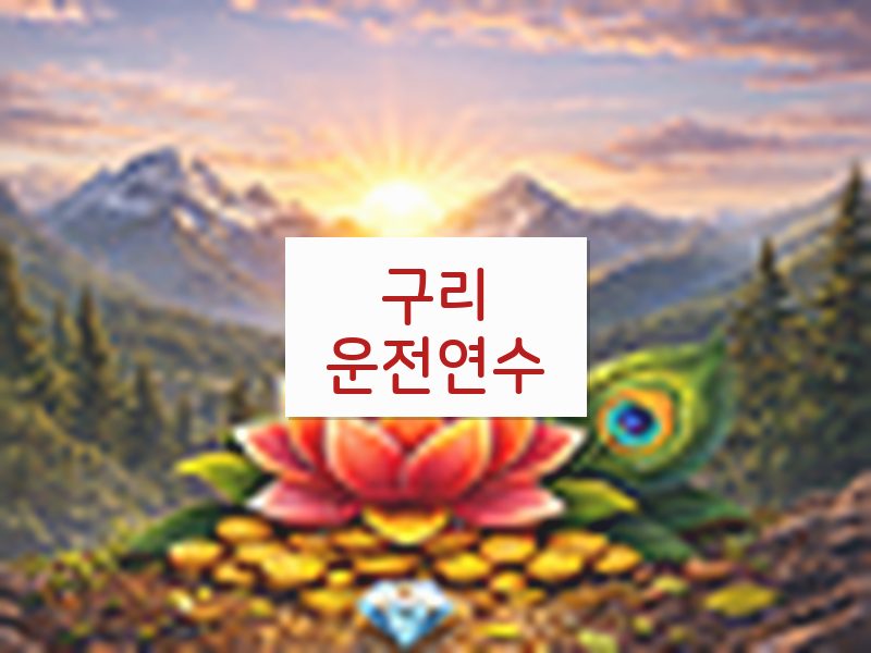 구리운전연수 후기