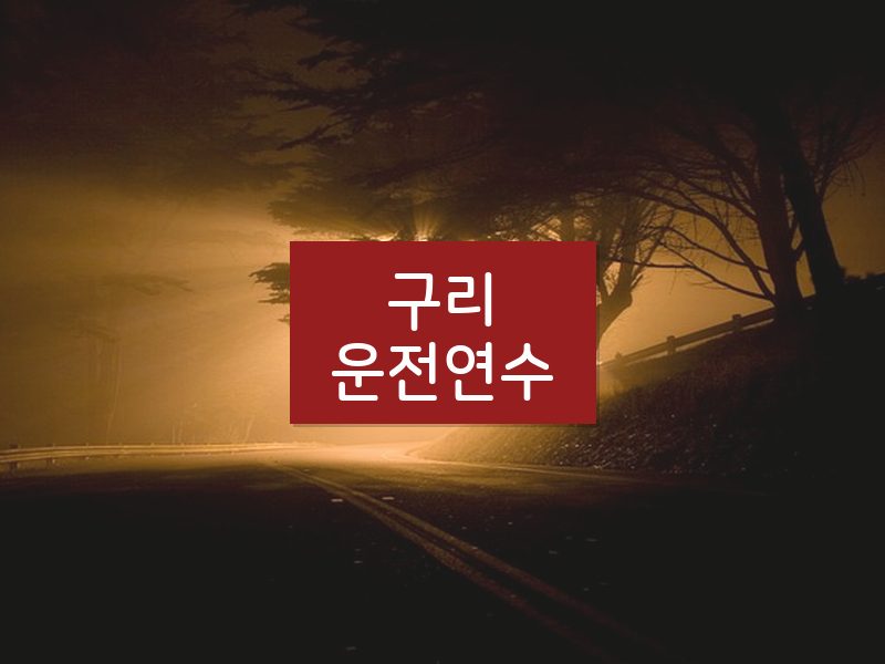 구리운전연수 후기