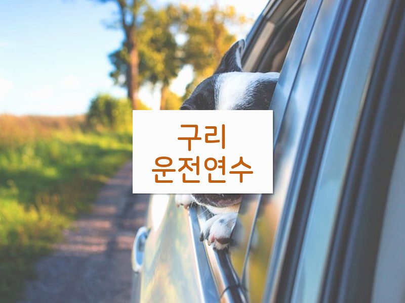 구리운전연수 후기