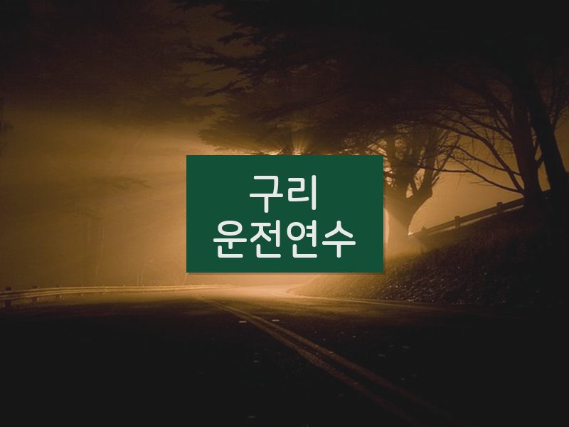 구리운전연수 후기