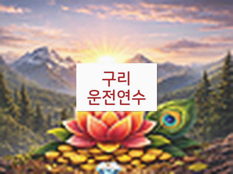구리운전연수 후기
