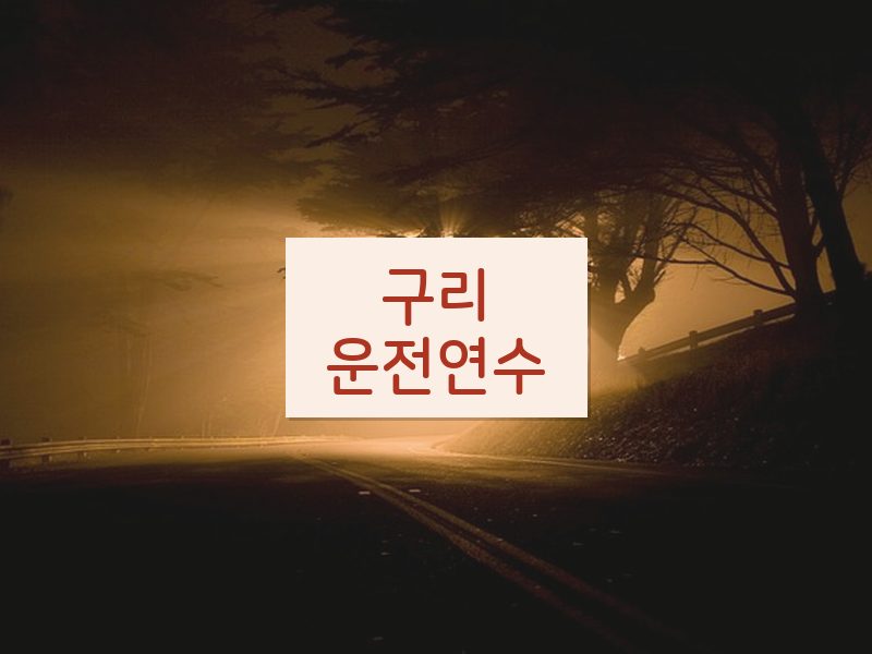 구리운전연수 후기