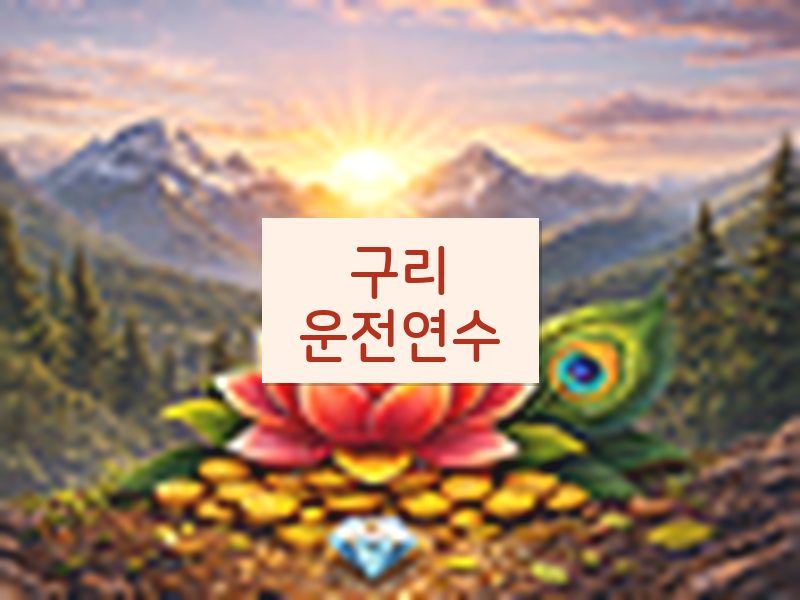 구리운전연수 후기