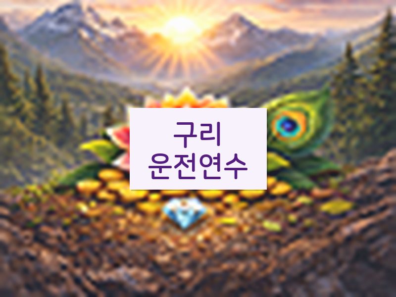 구리운전연수 후기