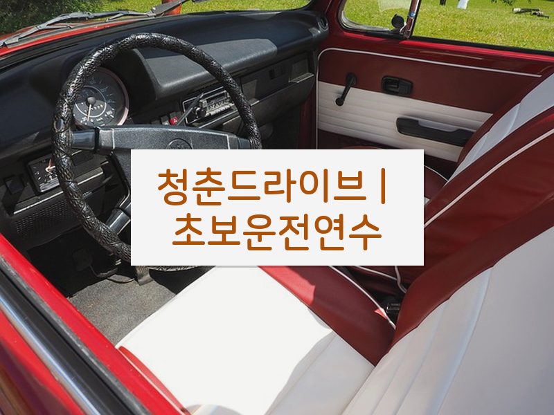 청춘드라이브 | 초보운전연수 후기