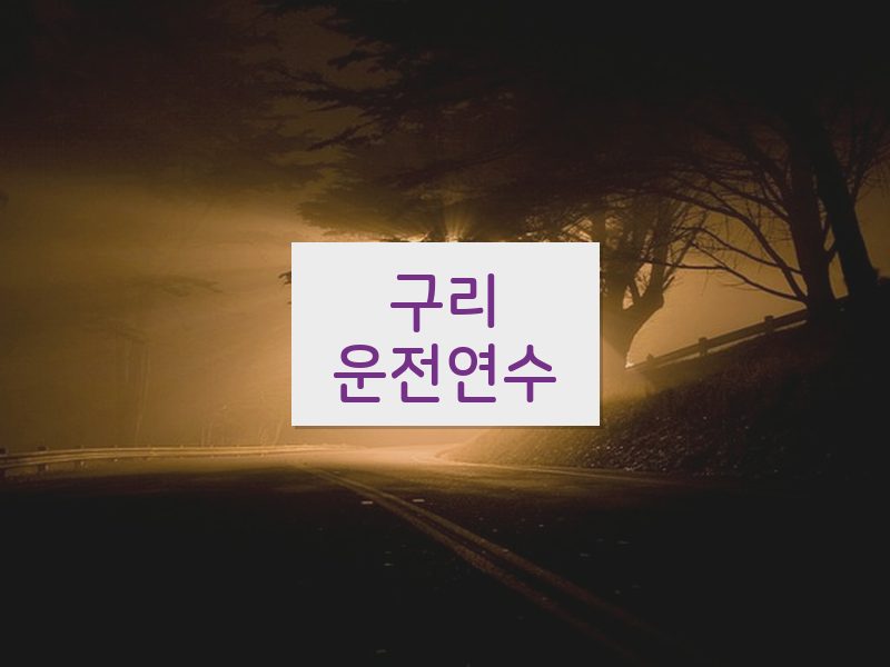 구리운전연수 후기