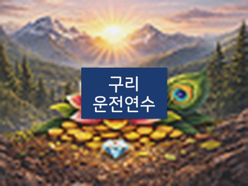 구리운전연수 후기