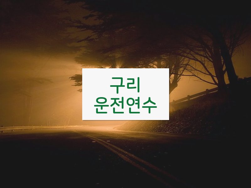 구리운전연수 후기