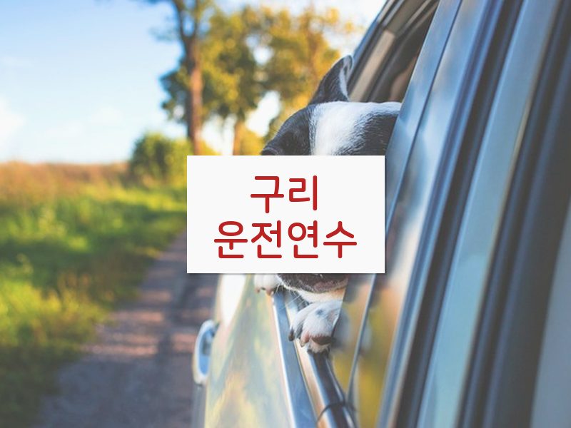 구리운전연수 후기