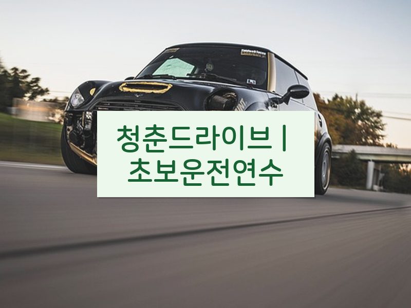 청춘드라이브 | 초보운전연수 후기