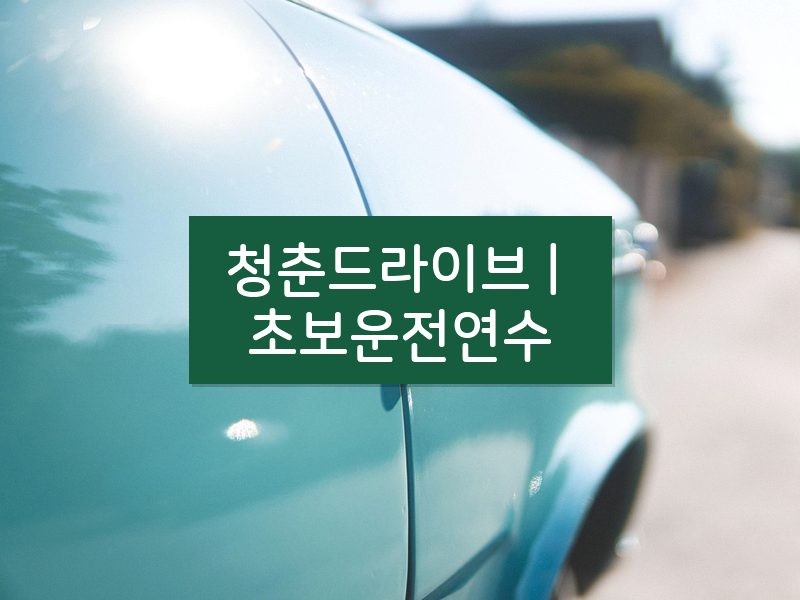 청춘드라이브 | 초보운전연수 후기