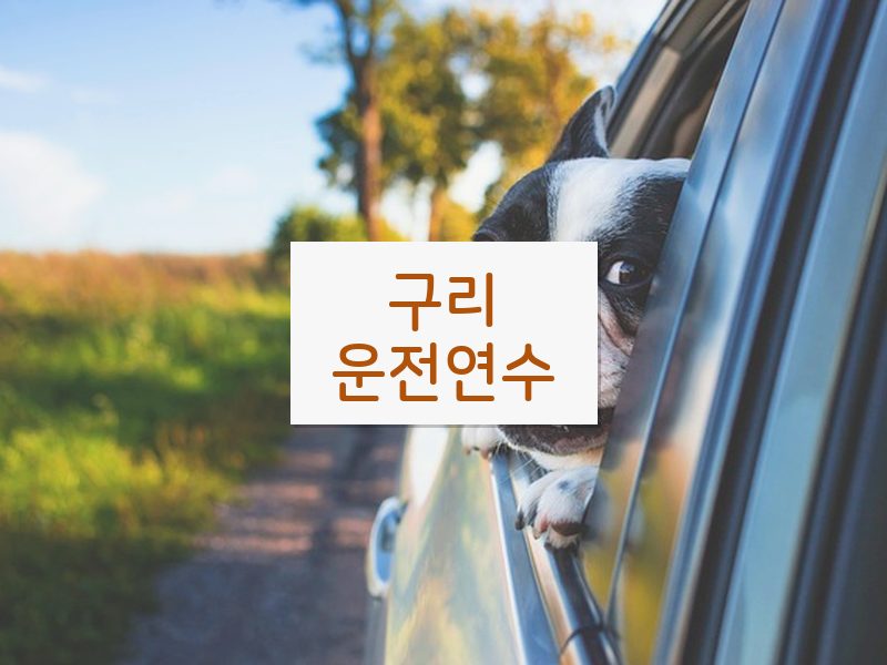 구리운전연수 후기