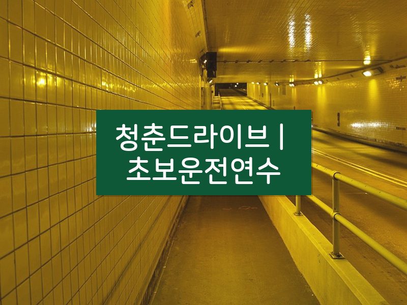 청춘드라이브 | 초보운전연수 후기