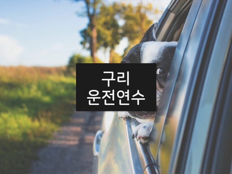 구리운전연수 후기