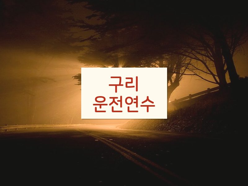 구리운전연수 후기