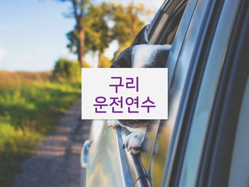 구리운전연수 후기