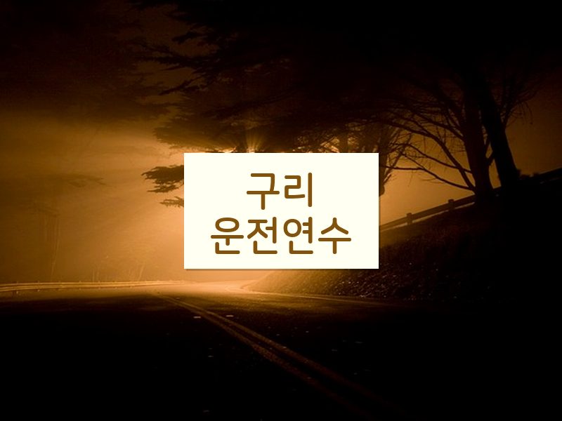 구리운전연수 후기
