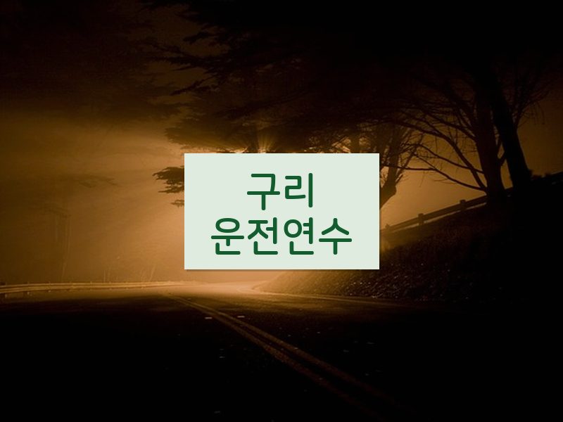 구리운전연수 후기