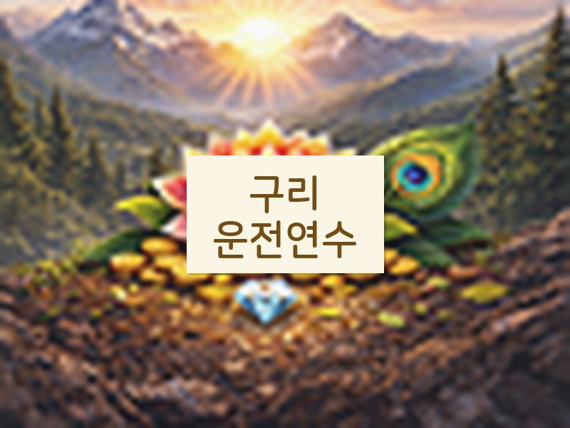 구리운전연수 후기