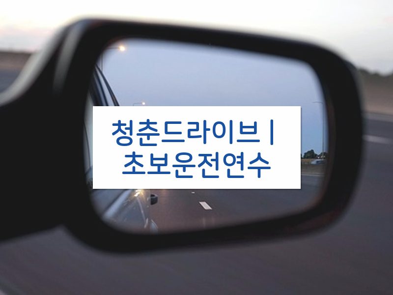 청춘드라이브 | 초보운전연수 후기