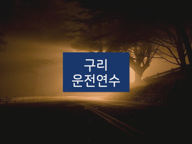 구리운전연수 후기