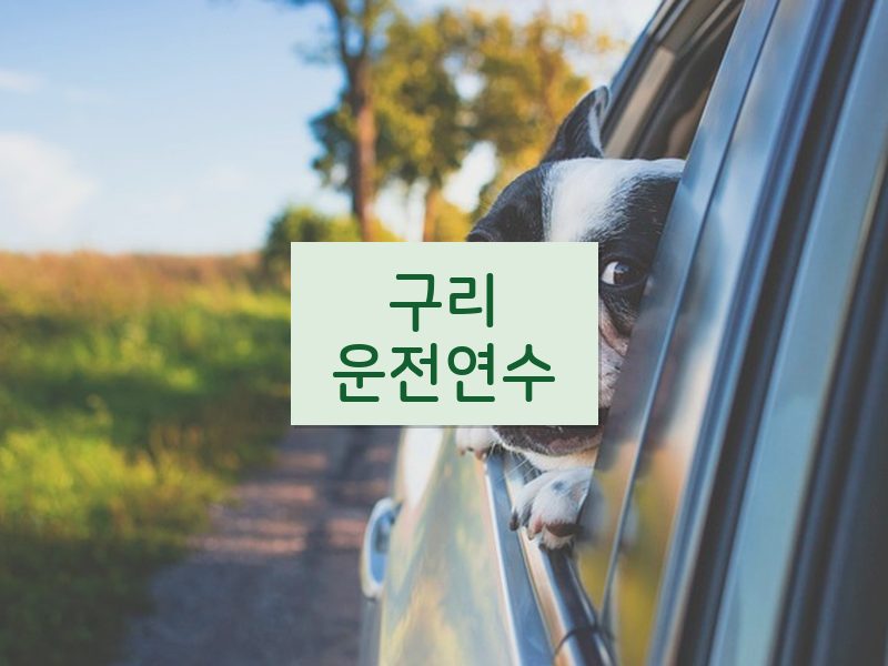 구리운전연수 후기