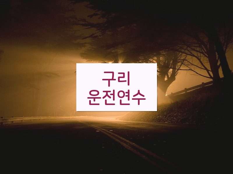 구리운전연수 후기