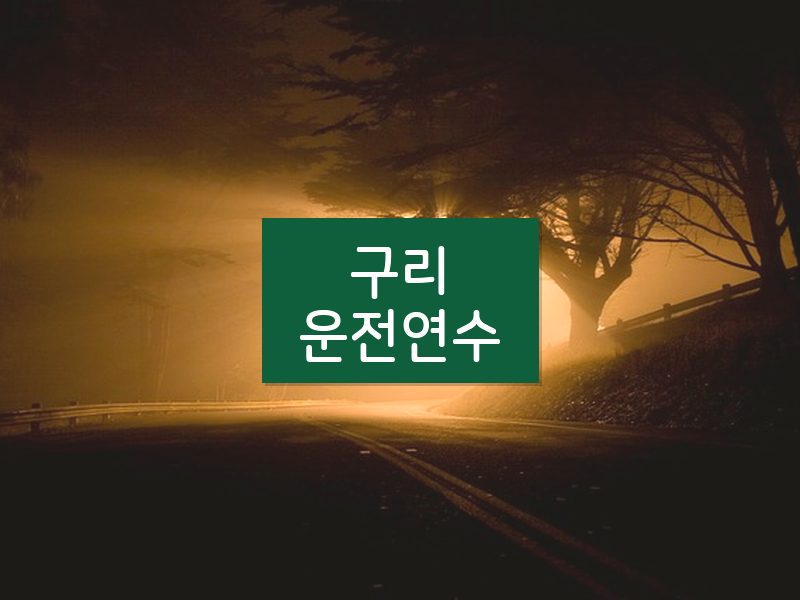 구리운전연수 후기
